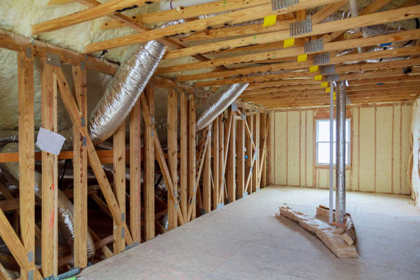 Best Crawl Space Insulation  in Middletown, VA